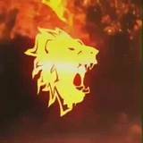 Telegram profile photo for 📉 GM7Rodrigues - FREE 📈