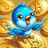 Telegram profile photo for Комбо BIRDTON