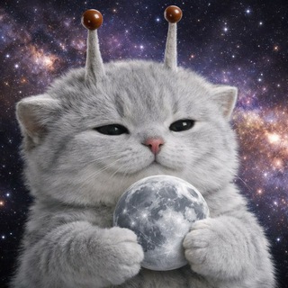 Telegram profile photo for LEкаLO