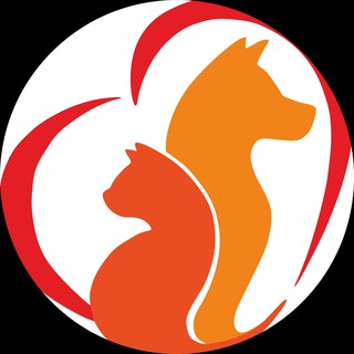 Telegram profile photo for АНО помощь животным "ЛЮСИ" г.Мариуполь
