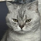 Telegram profile photo for ПЕРЕЕЗД НАХ🍬