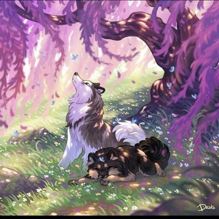 Telegram profile photo for 🐕🦺🐈⬛️𖣠𝚋𝚞𝚍𝚔𝚊°𝚒𝚗𝚏𖣠🫧👾(скоро возращение)