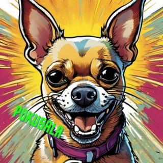 Telegram profile photo for pokusala
