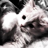 Telegram profile photo for АНГЕЛИНА🩷🤘
