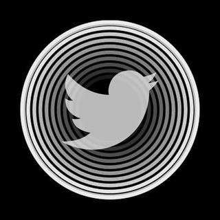 Telegram profile photo for OPEN Social Updates ($OPN)