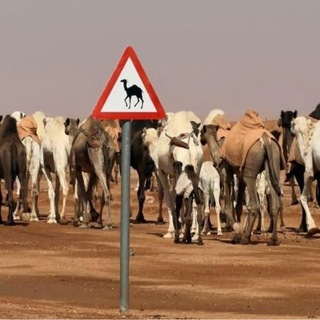 Telegram profile photo for وهّـااج ♯̶ ⧽