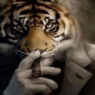 Telegram profile photo for Броски