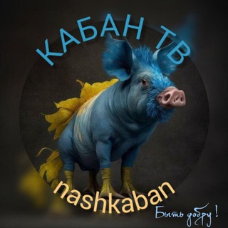 Telegram profile photo for КАБАН ТВ
