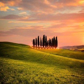 Telegram profile photo for Италия для меня | www.Italy4.me