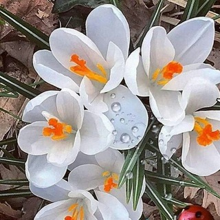 Telegram profile photo for یادداشت های من