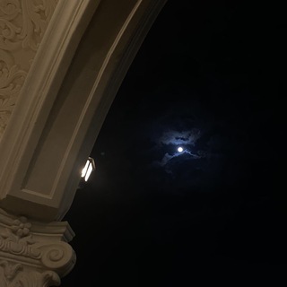 Telegram profile photo for ﴿أَلا بِذِكرِ اللَّهِ تَطمَئِنُّ القُلوبُ﴾