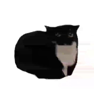 Telegram profile photo for Миска макарон 🐈⬛️