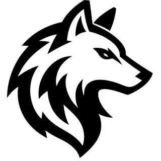 Telegram profile photo for WOLF Team