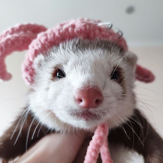 Telegram profile photo for Вергилий be come психус