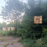 Telegram profile photo for мурмурка7 фан клуб