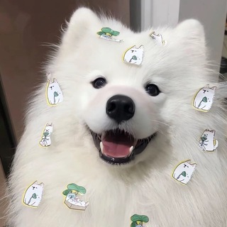 Telegram profile photo for Wolf Gamble