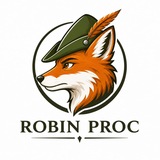 Telegram profile photo for ROBIN P2P