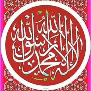 Telegram profile photo for اخبار غزة اول بأول 🔻 🔴
