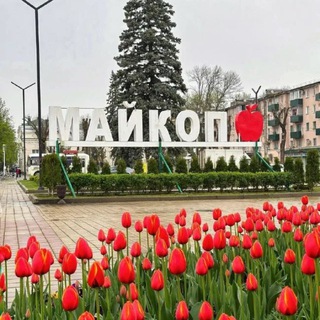 Telegram profile photo for Майкоп новости