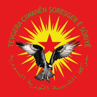 Telegram profile photo for Ragihandina Ciwanên Şoreşger إعلام الشبيبة الثورية