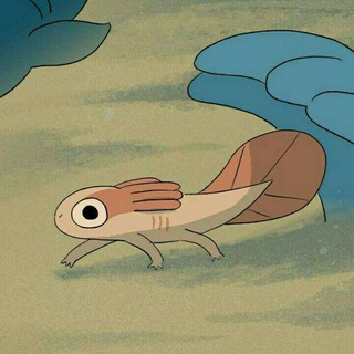 Telegram profile photo for Convi