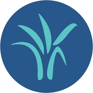 Telegram profile photo for အလိုင်းရင့်စ် - Alliance for Microfinance in Myanmar