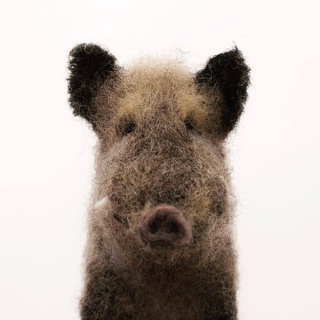 Telegram profile photo for odinrazpokazivau