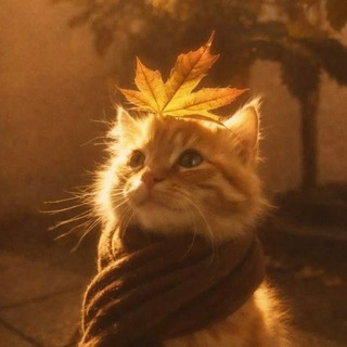 Telegram profile photo for 𝅄 ʙиɯᴀ нᴀ ᴛᴏᴩᴛᴇ ! ⊹