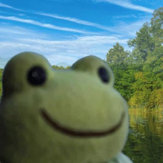 Telegram profile photo for Freddy CTO Portal