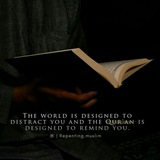 Telegram profile photo for Quran is our guidance ๐