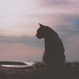 Telegram profile photo for Антоним антипода