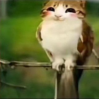 Telegram profile photo for скетчи мерчи | 10+