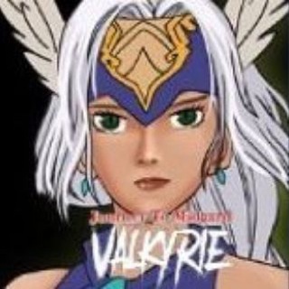 Telegram group profile photo for 瓦尔基里valkyrie(中文组)