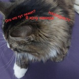 Telegram profile photo for Раздачи от Monolit