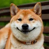Telegram profile photo for Эмиль работает ?!