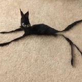 Telegram profile photo for Unusual Post