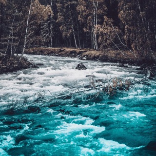 Telegram profile photo for River
