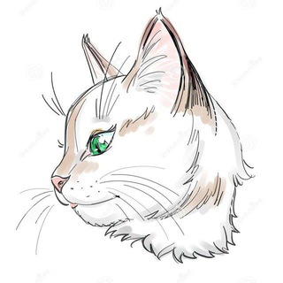 Telegram profile photo for Fucking god