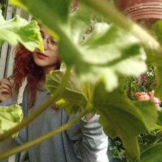 Telegram profile photo for олега полиновна🌱