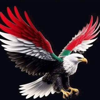 Telegram profile photo for روايات الملاذ الأمن ❤️✨