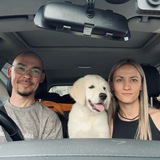 Telegram profile photo for Любовь, собаки и путешествия