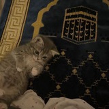 Telegram profile photo for الطـريق الئ الجنة🤍.