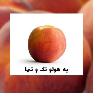 Telegram profile photo for پایه دهم یازدهم