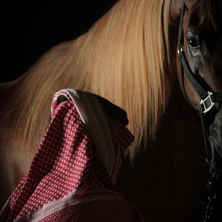 Telegram profile photo for لـــ 𝐀𝑳𝐁𝐀𝐒𝐇𝐀