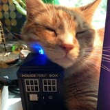 Telegram profile photo for Your Gallifrey🎸