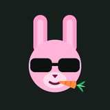 Telegram profile photo for BunnyMapsAI