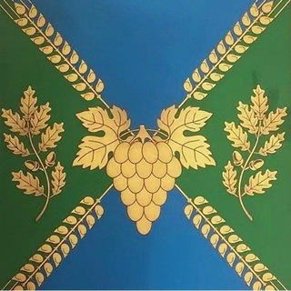 Telegram profile photo for АдминМолдаванка