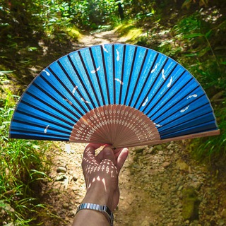 Telegram profile photo for Kyoto Insights