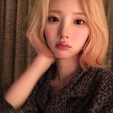Telegram profile photo for maijjyu.