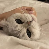 Telegram profile photo for جَمرهہ 𝟑⊁
